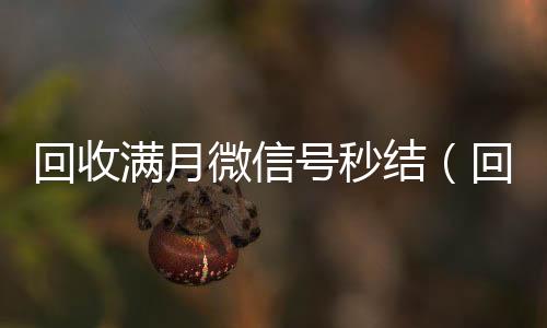 回收满月微信号微信回收高价秒结平台秒结（回收3月以上微信号）