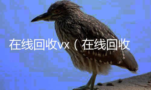 在线回收vx高价回收微信300元秒结（在线回收微信秒结）