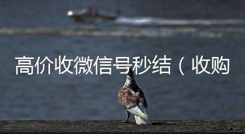 高价收微信号秒长期收购微信号秒结账的结（收购微信号秒结账的）